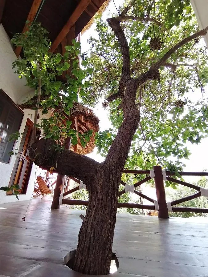 Guest house Casa Mech Hotel Isla Holbox Mexico