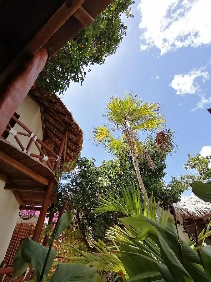 Casa Mech Hotel Isla Holbox 0*,